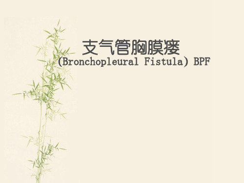 支气管胸膜瘘