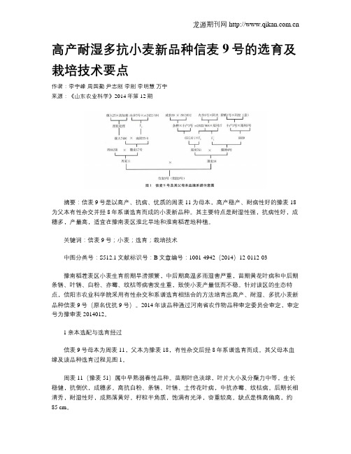 高产耐湿多抗小麦新品种信麦9号的选育及栽培技术要点