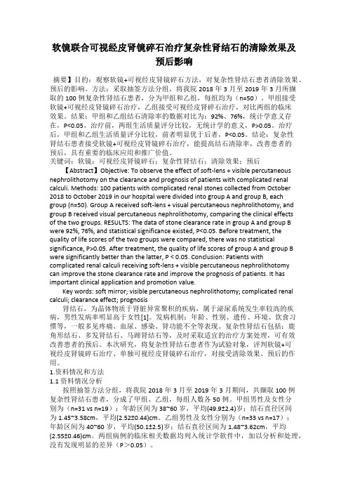 软镜联合可视经皮肾镜碎石治疗复杂性肾结石的清除效果及预后影响