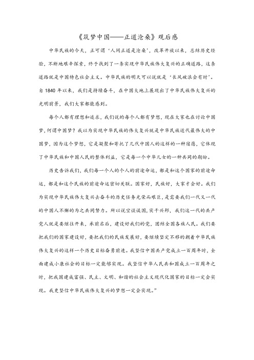 《筑梦中国——正道沧桑》观后感