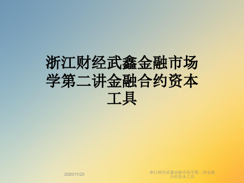 浙江财经武鑫金融市场学第二讲金融合约资本工具