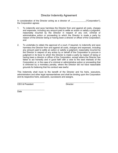 Director Indemnity Agreement