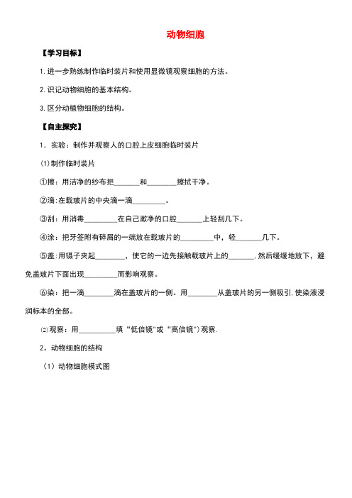 七年级生物上册2.1.3动物细胞学案新人教版