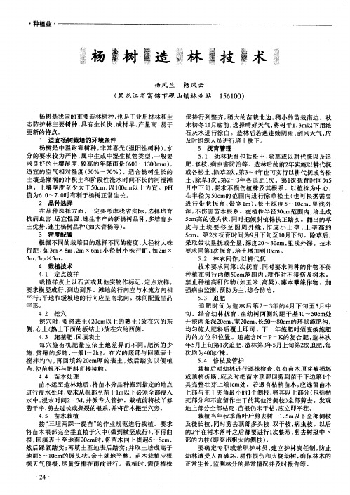 杨树造林技术
