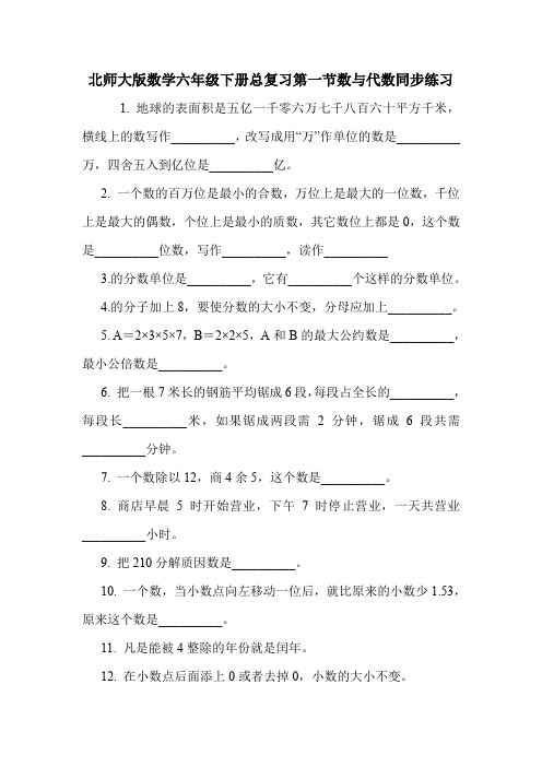 北师大版数学六年级下册总复习第一节数与代数同步练习.doc
