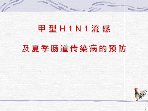 夏季肠道传染病的预防精品PPT课件