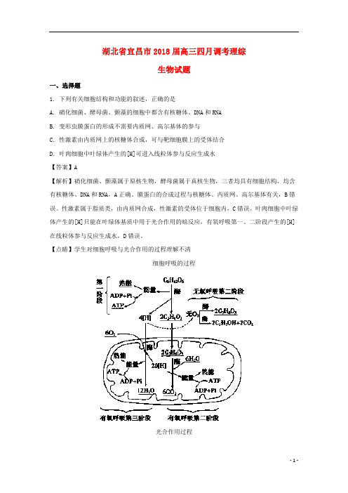 湖北省宜昌市2018届高三生物4月调研考试试题(含解析)