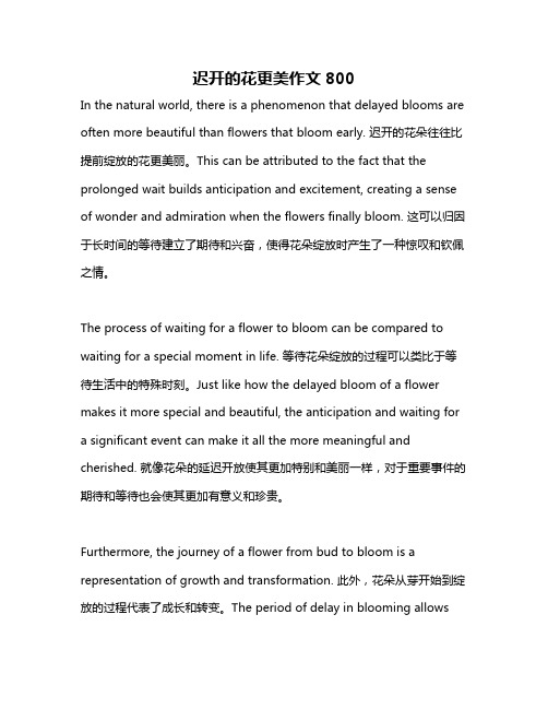 迟开的花更美作文800