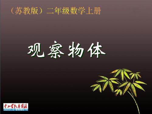 苏教版数学二上《观察物体》PPT课件