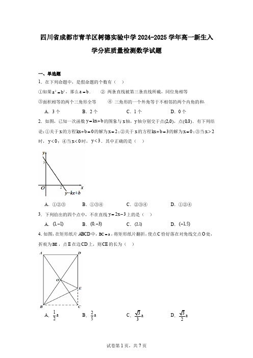 四川省成都市青羊区树德实验中学2024-2025学年高一新生入学分班质量检测数学试题