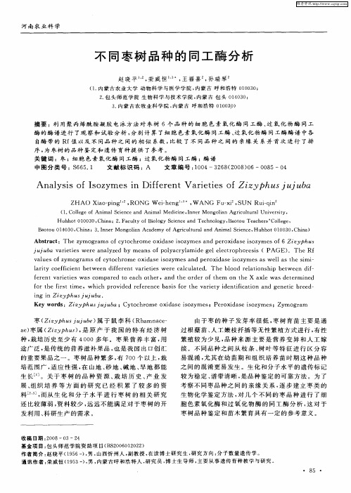 不同枣树品种的同工酶分析