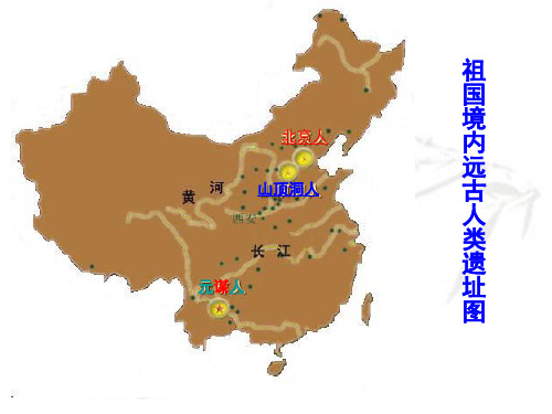 七年级历史上册1-11课《金牌学案》答案