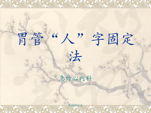 胃管固定法 ppt课件