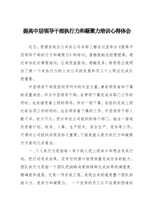 提高中层领导干部执行力和凝聚力培训心得体会