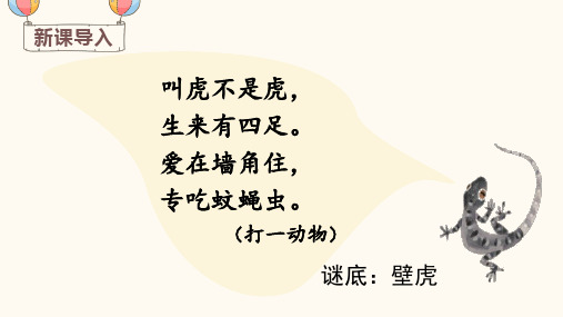 部编一年级语文下《小壁虎借尾巴》课件PPT