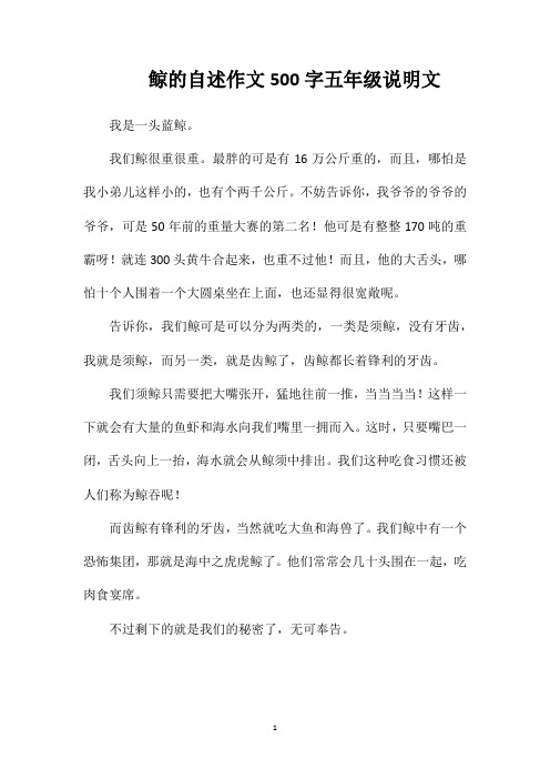 鲸的自述作文500字五年级说明文
