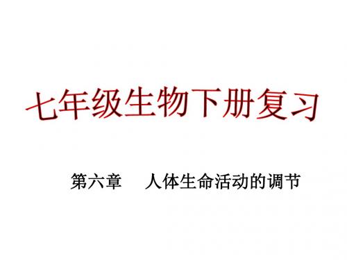 2019年-七年级下册生物第六章人体生命活动的调节复习ppt课件-PPT精选文档