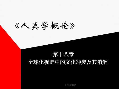 全球化视野中的文化冲突及其消解