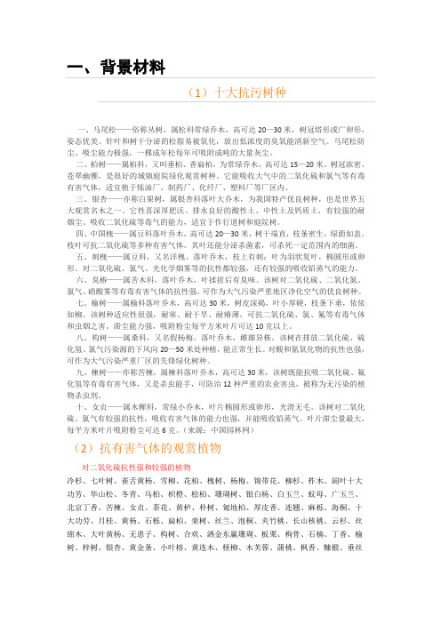 抗污染乔木