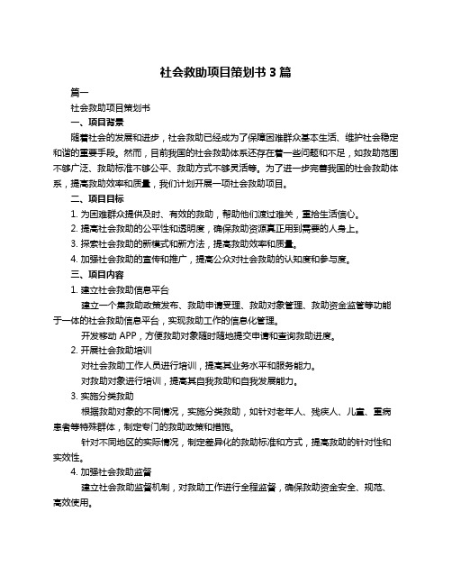 社会救助项目策划书3篇