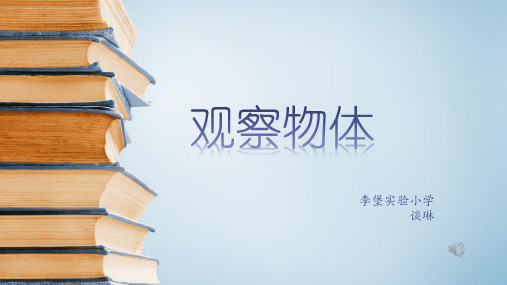 苏教版二年级上册数学精选课件：观察物体)