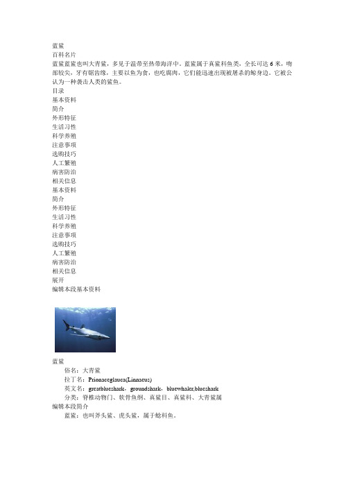 蓝鲨