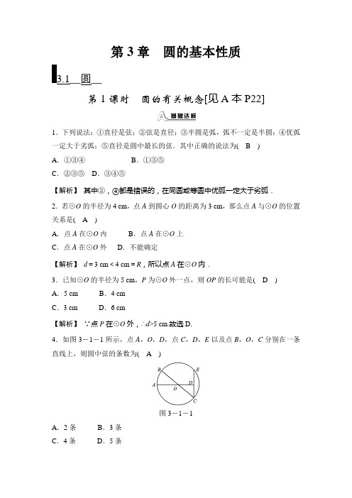 圆的基本性质