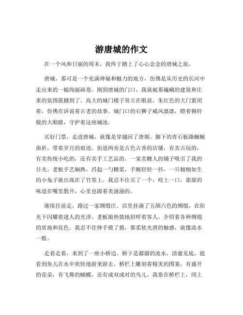 游唐城的作文