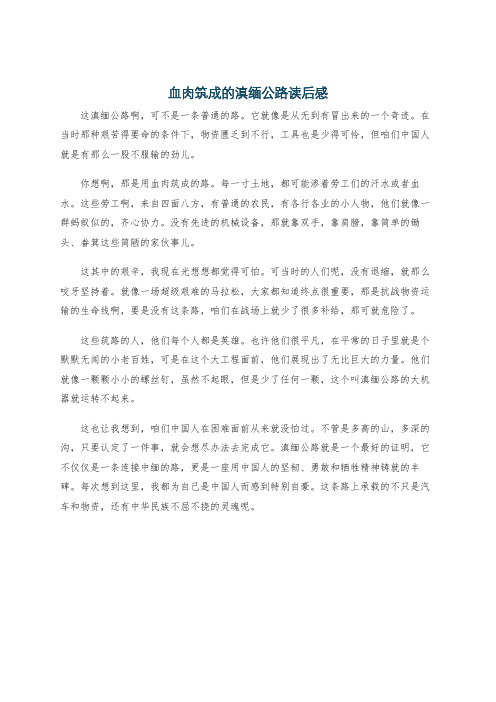 血肉筑成的滇缅公路读后感