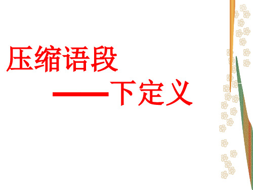 中考复习 下定义