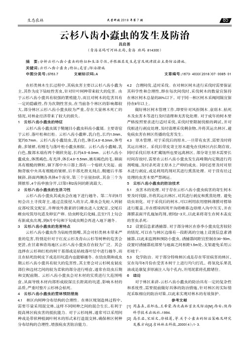 云杉八齿小蠹虫的发生及防治