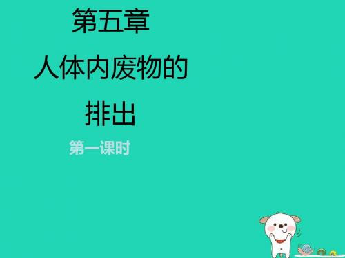人教版 人体内废物的排出PPT课件2