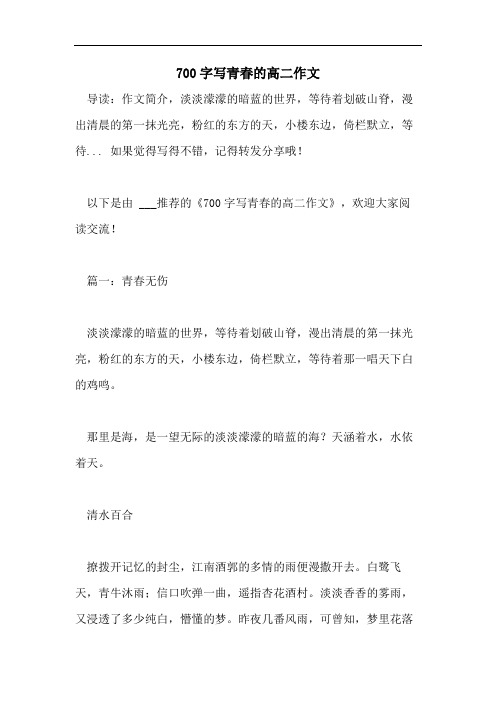 700字写青春的高二作文