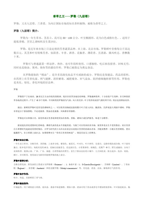 地中海植物罗勒种植资料介绍