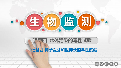种子发芽和根伸长的毒性试验