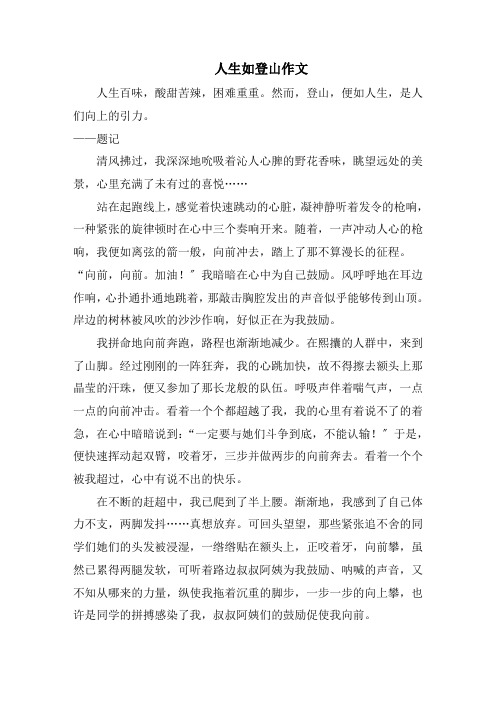 人生如登山作文精选