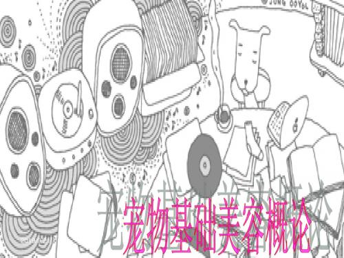 宠物基础美容概论PPT课件