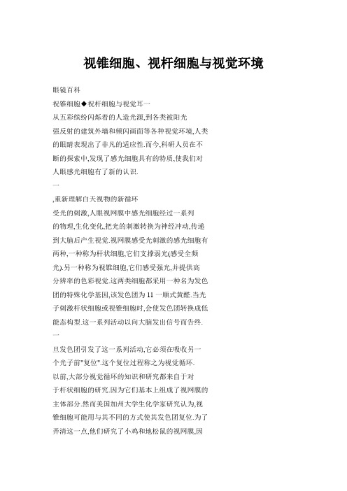 视锥细胞、视杆细胞与视觉环境