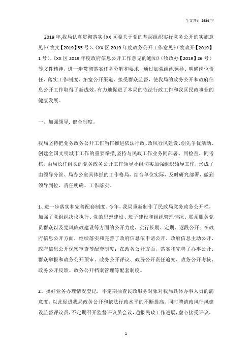2019年民政局党务政务公开工作总结