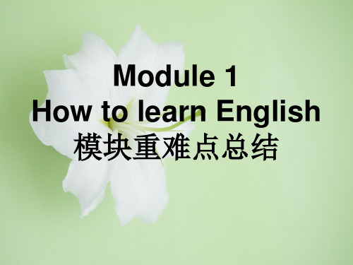 how to learn englishPPT课件