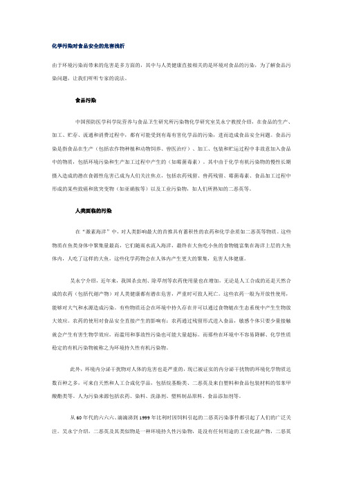 化学污染对食品安全的危害浅析