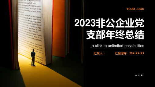 2023非公企业党支部年终总结 (模板)