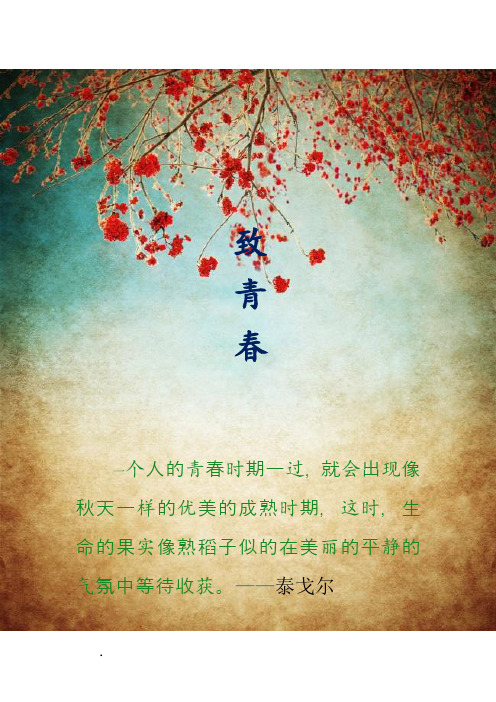 团组织生活“我的青春故事”策划书