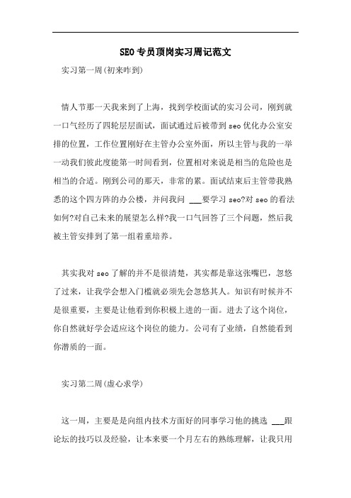 SEO专员顶岗实习周记范文