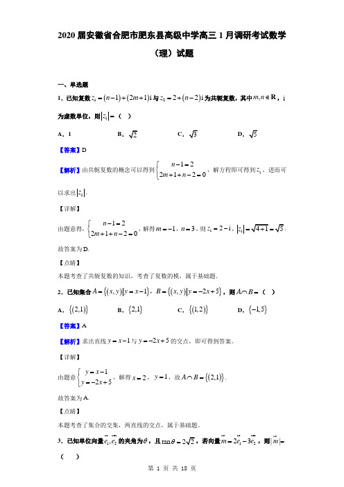 2020届安徽省合肥市肥东县高级中学高三1月调研考试数学(理)试题(解析版)