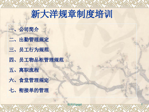公司规章制度培训8ppt课件