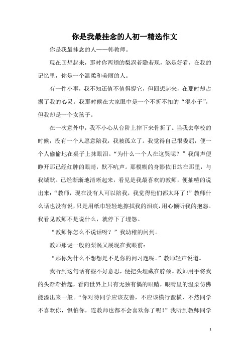 你是我最挂念的人初一精选作文