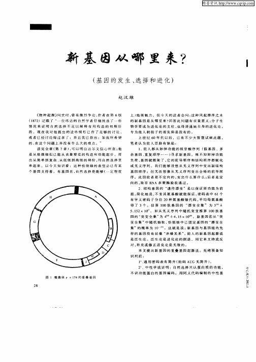 新基因从哪里来？(基因的发生、选择和进化)