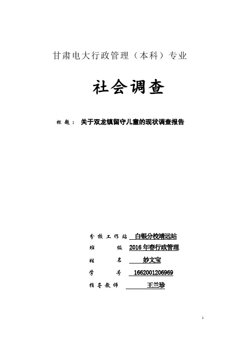 调查：关于双龙镇留守儿童的现状调查报告(定稿)
