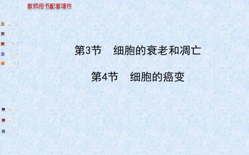 金榜生物教师用书配套课件必修1第6章 第3节 第4节 细胞的衰老和凋亡 细胞的癌变